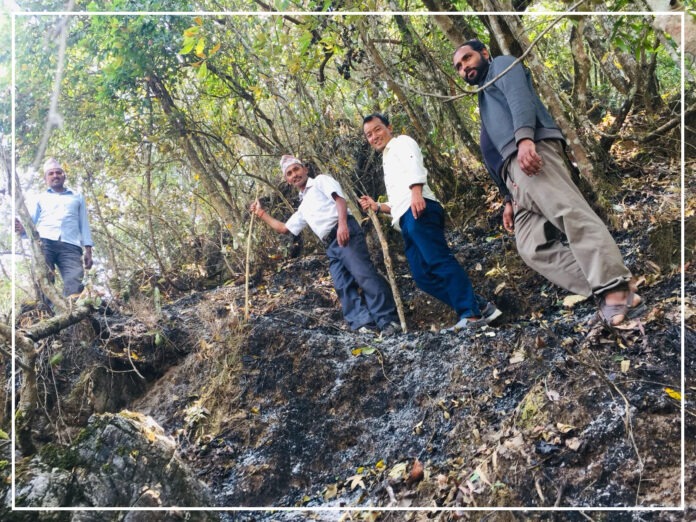 fotor_2023-4-18_11_46_30